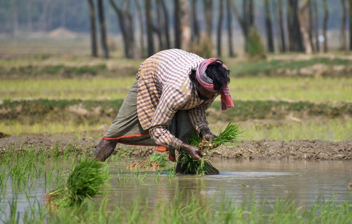Kharif Sowing Operations Hit Hard as Delayed Rains Cause a 30% Setback (Photo Source: Pixabay)