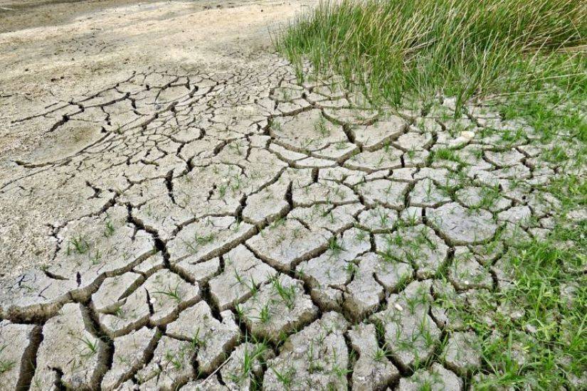 Centre Reviews Drought Preparedness and Implementation of CSS in Tamil Nadu (Photo Source: Pixabay)