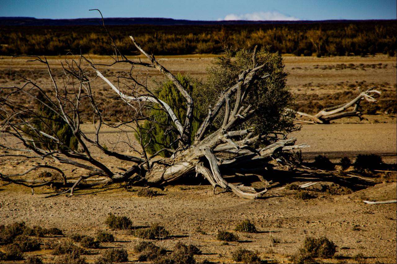 Drought due to climate change (Photo Courtesy: Pixabay)