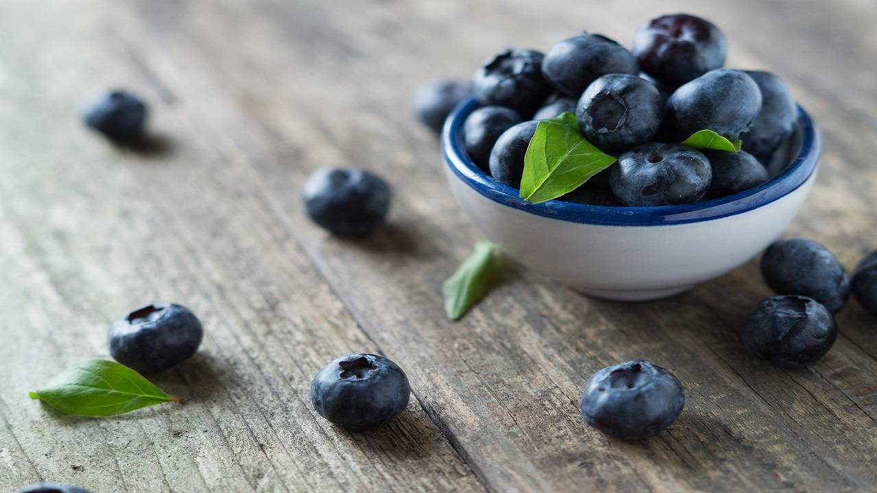 For their anti-inflammatory properties, Blueberries are loved by Nutritionists. (Photo Courtesy- Pixabay)