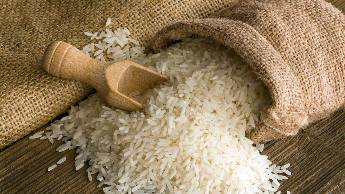 Rice Import Cut: South Korea Pledges Support to Africa (Photo Source: Telangana State Civil Supplies Corporation Limited)