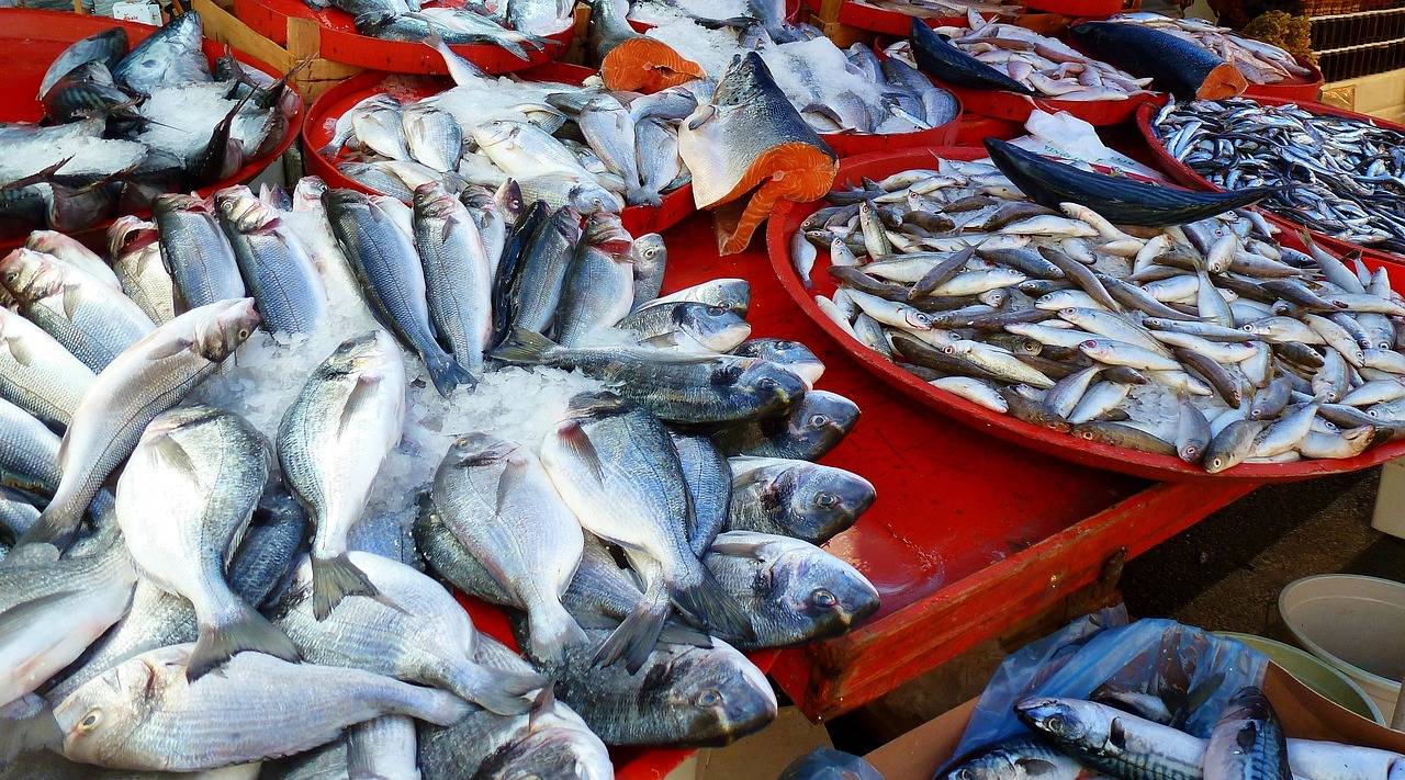 Fish market (Photo Courtesy: Pixabay)