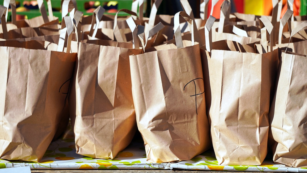 Plastic Bags (Photo Courtesy: Pixabay)