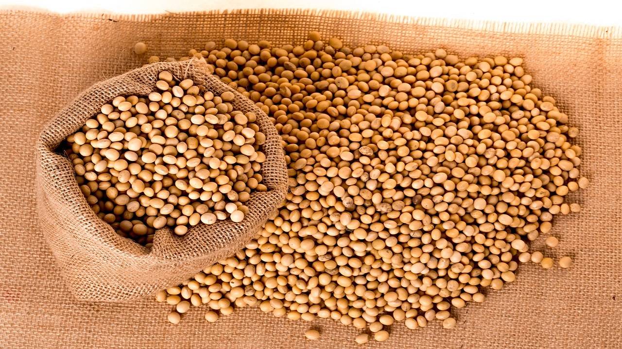 Worldwide soyabean output forecast stays at an all-time excessive, largely on a record Brazil crop and a rebounding crop in Argentina.(Image Courtesy- Pixabay)