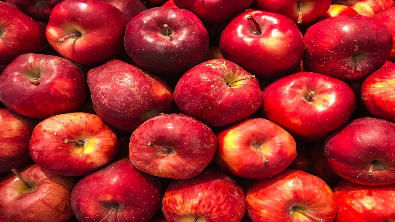 The first two-day national conference of apple farmers organized by AFFI began in south Kashmir’s Shopian district. (Image Courtesy- Unsplash)