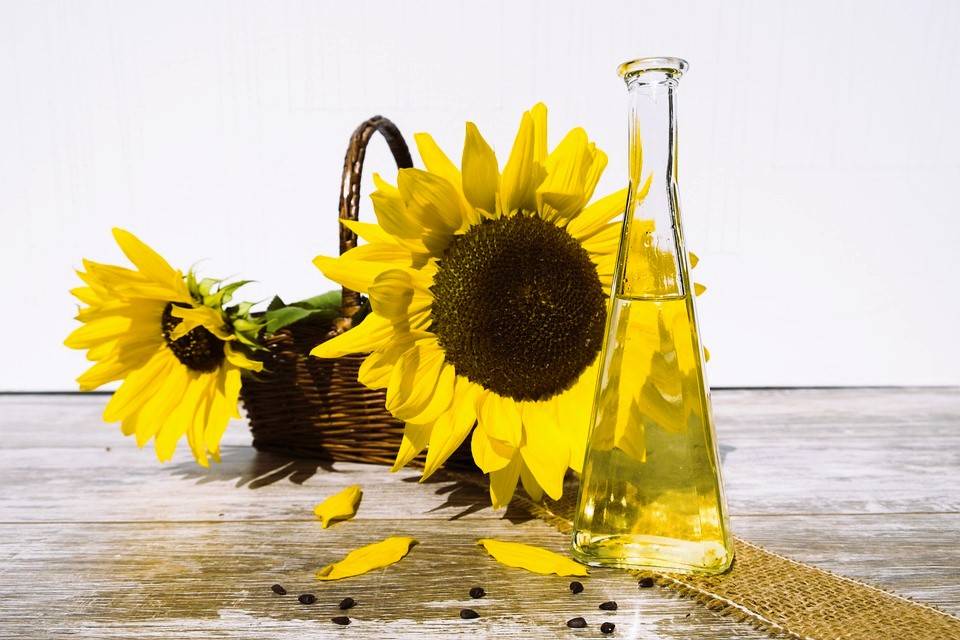 Sunflower Oil and Wheat Prices Surge as Russia Terminates Black Sea Grain Deal (Photo Source: Pixabay)