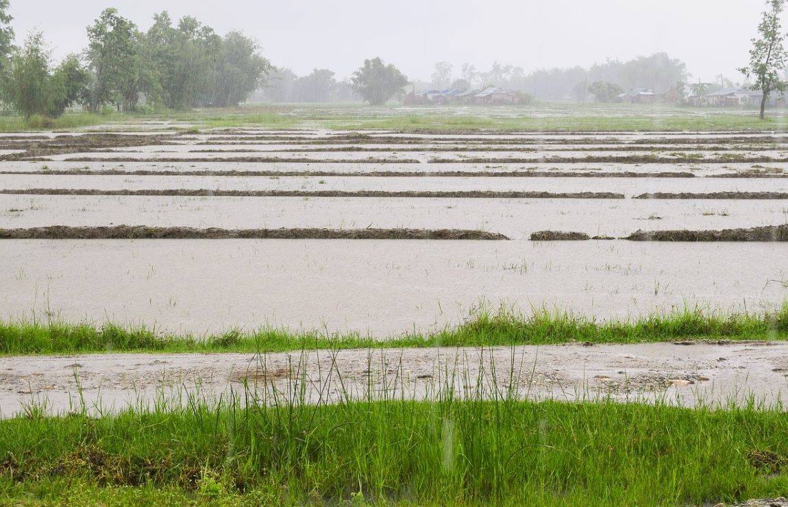 Haridwar Floods Wipe Out Crops Across 53,000 Hectares (Photo Source: Pixabay)