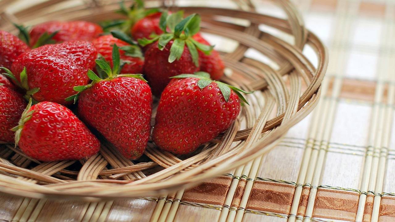 Plastic mulch, commonly used to enhance strawberry growth has been found to shed large quantities of plastic fragments into the soil, posing serious threats to soil quality. (Image Courtesy- Pixabay)