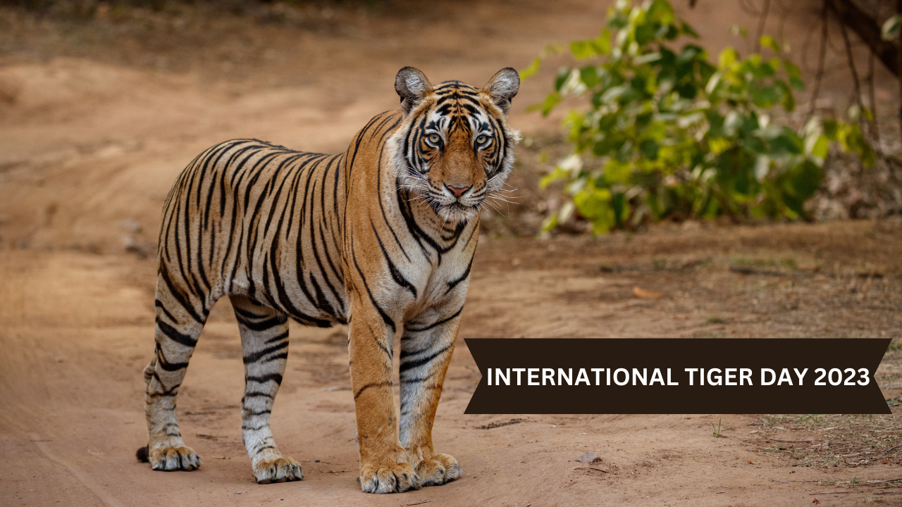 International Tiger Day 2023 (Image Courtesy- Freepik)