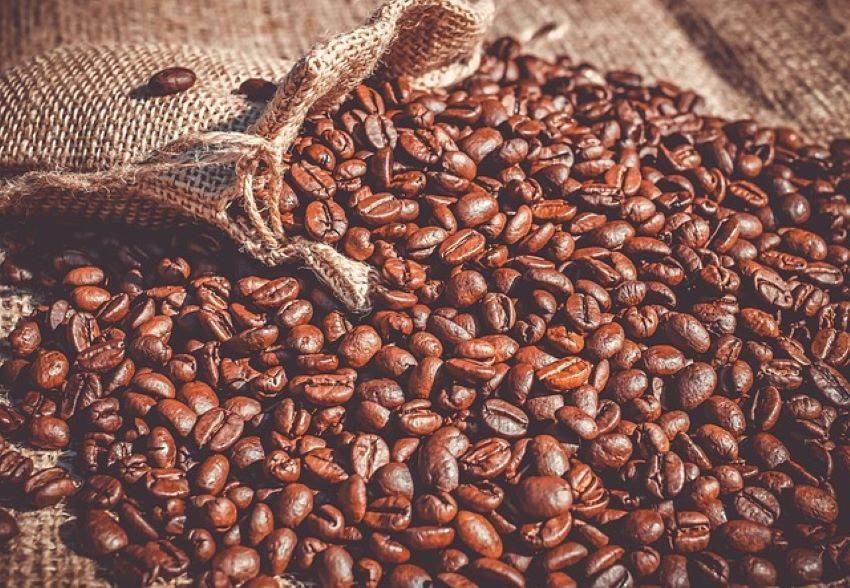 India to Host First-Ever World Coffee Conference in Bengaluru, September 25-28 (Photo Source: Pixabay)