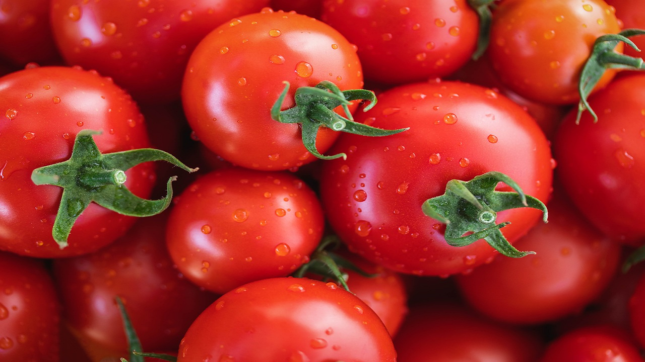 The Tomato Grand Challenge 2023 Invites Innovators to Tackle Post-Harvest Losses (Photo Courtesy: Pixabay)