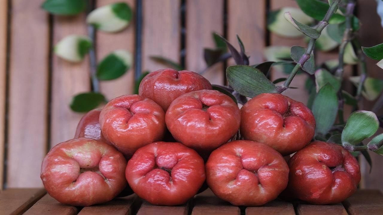The fruit is known as the wax apple is scientifically named Syzygium samarangense and is often called the Java apple. (Image Courtesy- Unsplash)