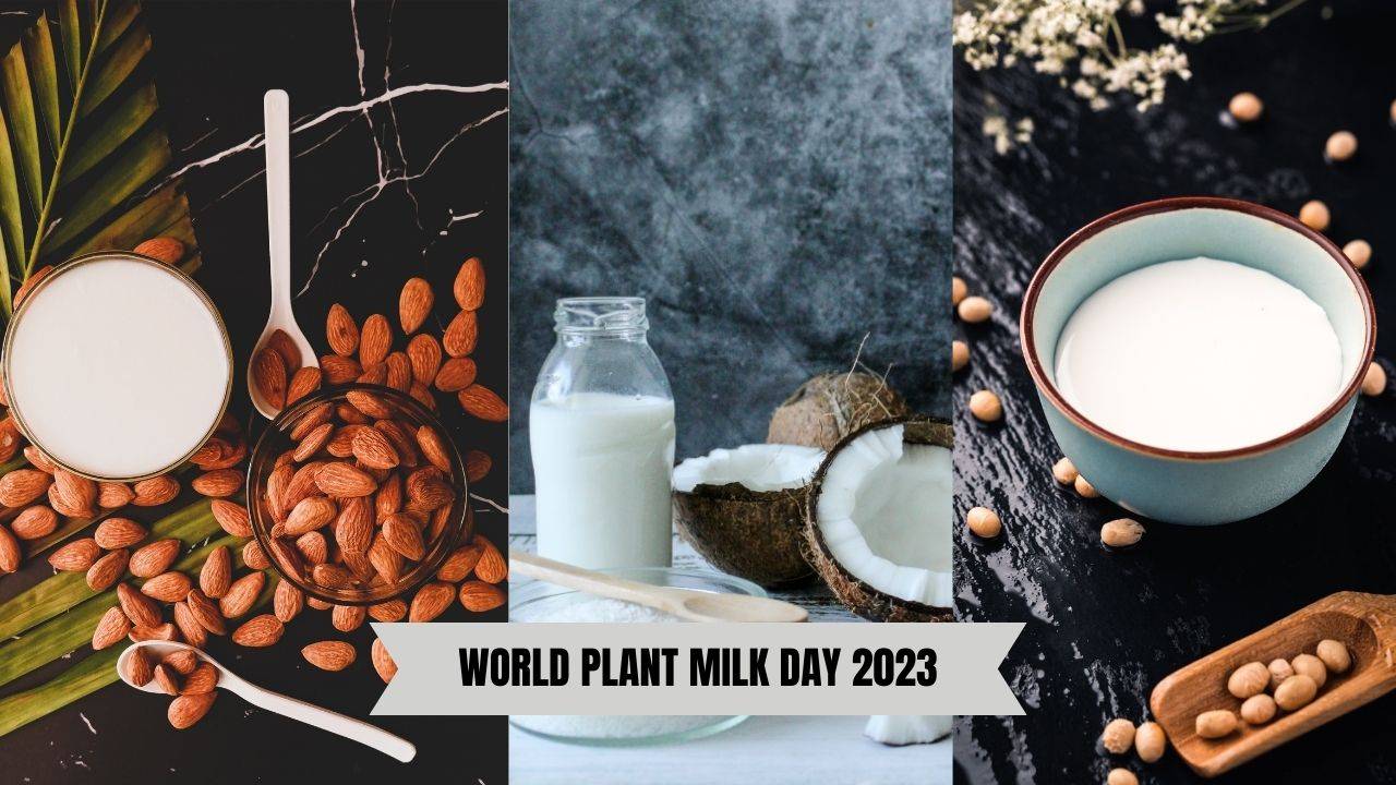 Plant milk offers essential nutrients and minerals that contribute to your overall well-being. (Image Courtesy- Unsplash)