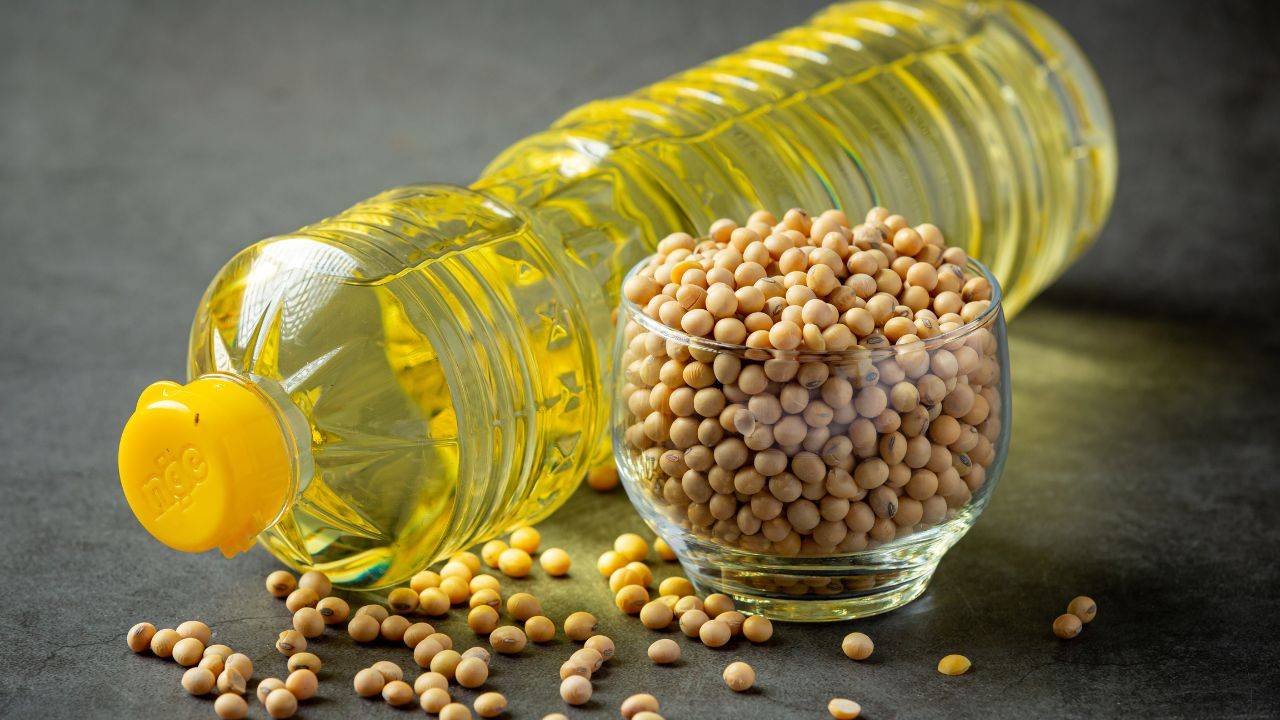 Soybean industry is flourishing and witnessing unprecedented growth (Image Courtesy: Freepik)