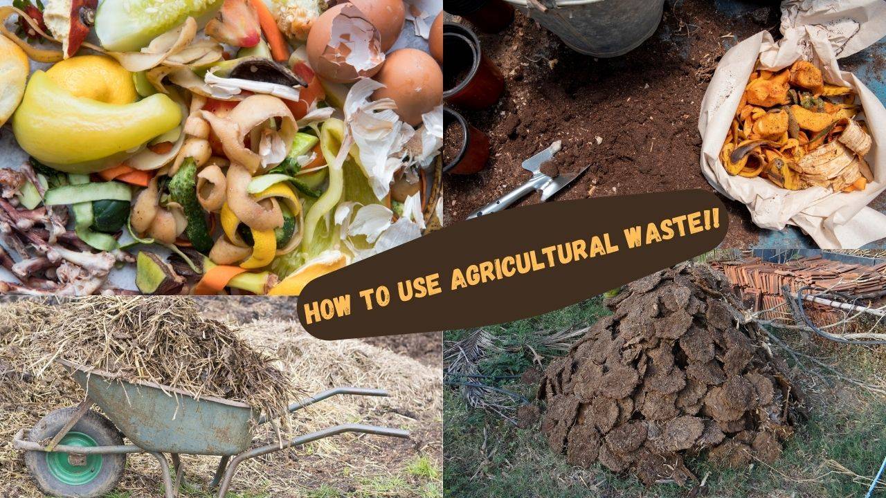 Agricultural Waste Management Strategies