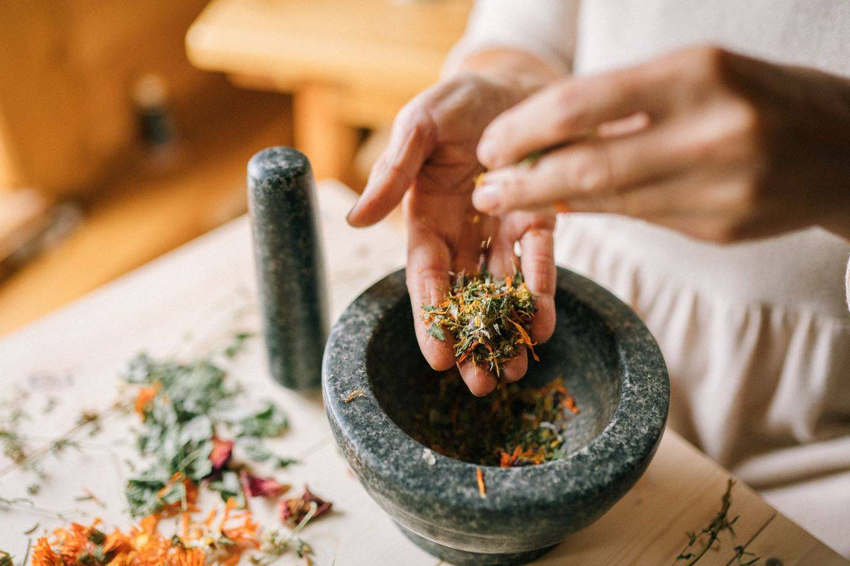 WHO Releases ‘Gujarat Declaration’ Following Traditional Medicine Global Summit-2023 (Photo Source: Pexels)