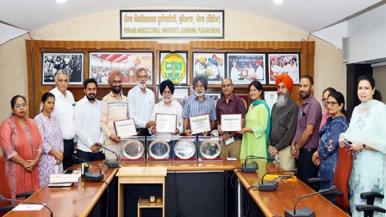 PAU Secures ‘Best AICRP on Wheat and Barley Centre’ Award. (Image Courtesy- Twitter/Punjab Agricultural University Ludhiana)