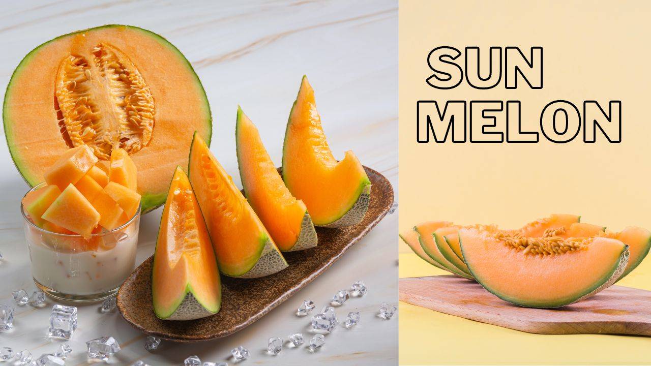 Sun melons are rich in vitamins A and C, making them a nutritious choice for consumers. (Image Courtesy- Freepik)