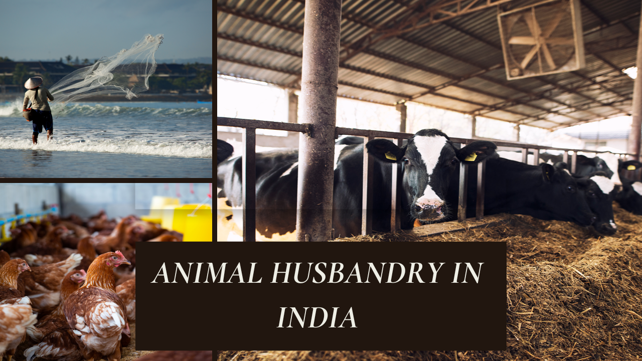 Animal husbandry in India (Photo Courtesy: Krishi Jagran)