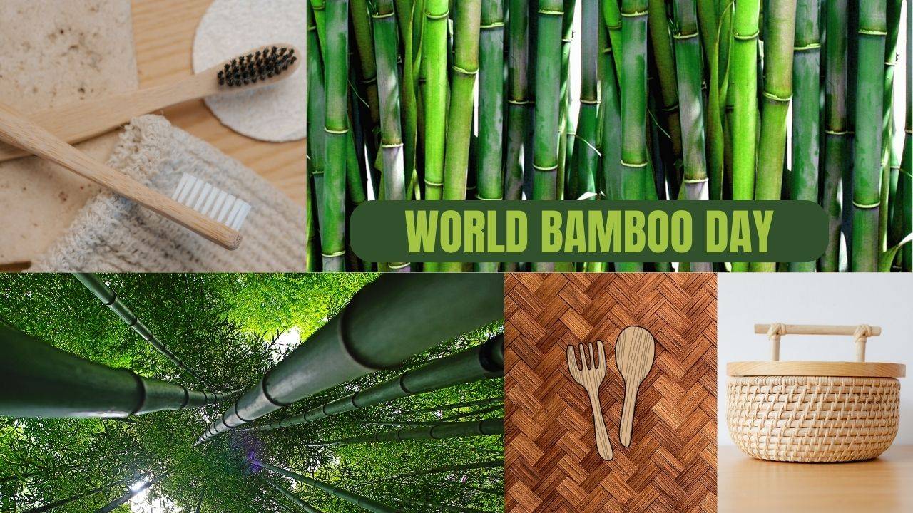 Bamboo has been an integral part of human civilization, offering solutions to a wide array of needs. (Image Courtesy- Canva)