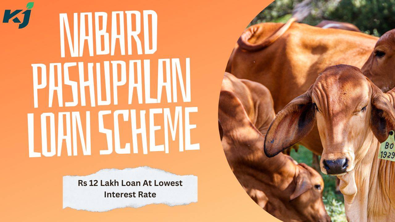 NABARD Pashupalan Loan Scheme (Photo Courtesy: Krishi Jagran)
