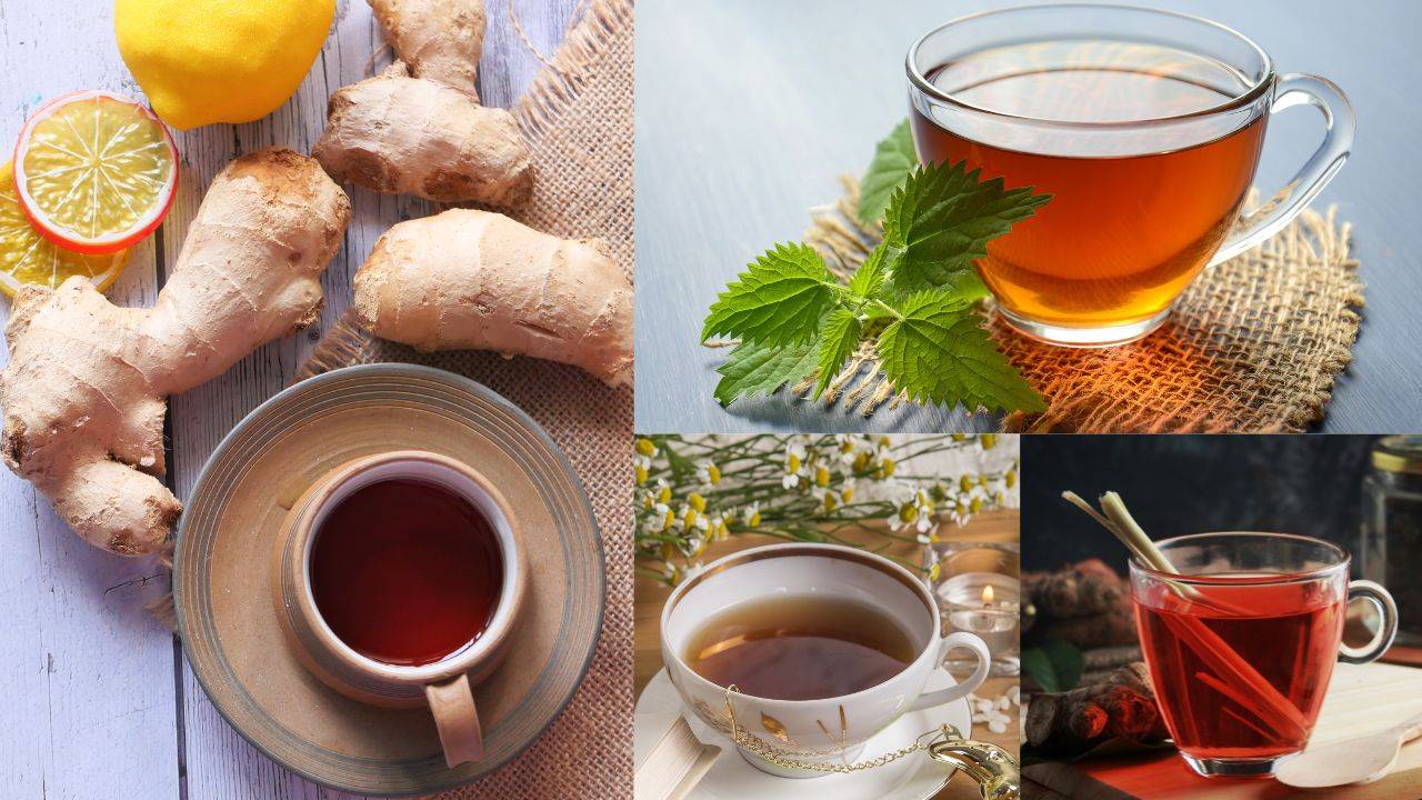 Indian tea culture goes far beyond the beloved milk tea.  (Image courtesy of Canva/Freepik)