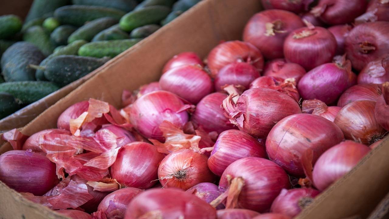Onion traders have said they have stopped auctions at all agricultural produce market committees in Maharashtra's Nashik district and will continue their protest.  (Photo courtesy of Unsplash)