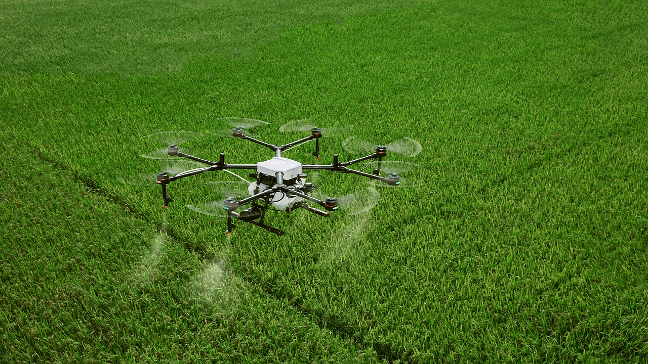 Drone technology transforms agriculture and reduce post harvest losses  (Photo Courtesy: Pixabay)