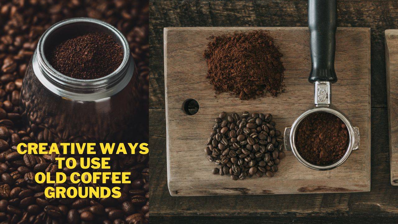 Coffee grounds have many practical uses around the home and garden and can even help enhance your beauty routine.  (Photo courtesy of Unsplash)