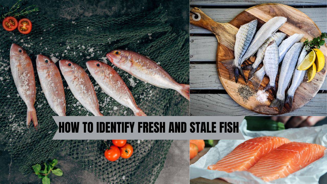 High-quality frozen fish should maintain its appearance after thawing. (Image Courtesy- Unsplash)