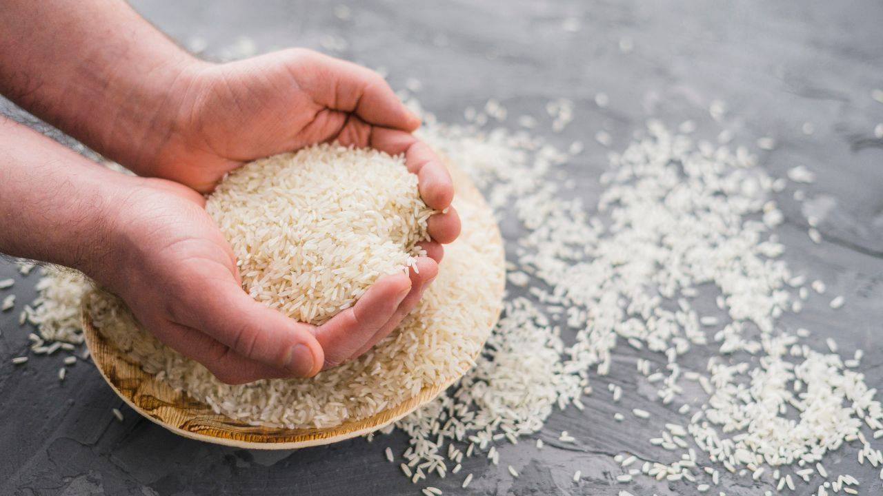 Rice ban export is regulation rather than restriction for food security: India to WTO's agri committee meet (Image Courtesy- Canva)