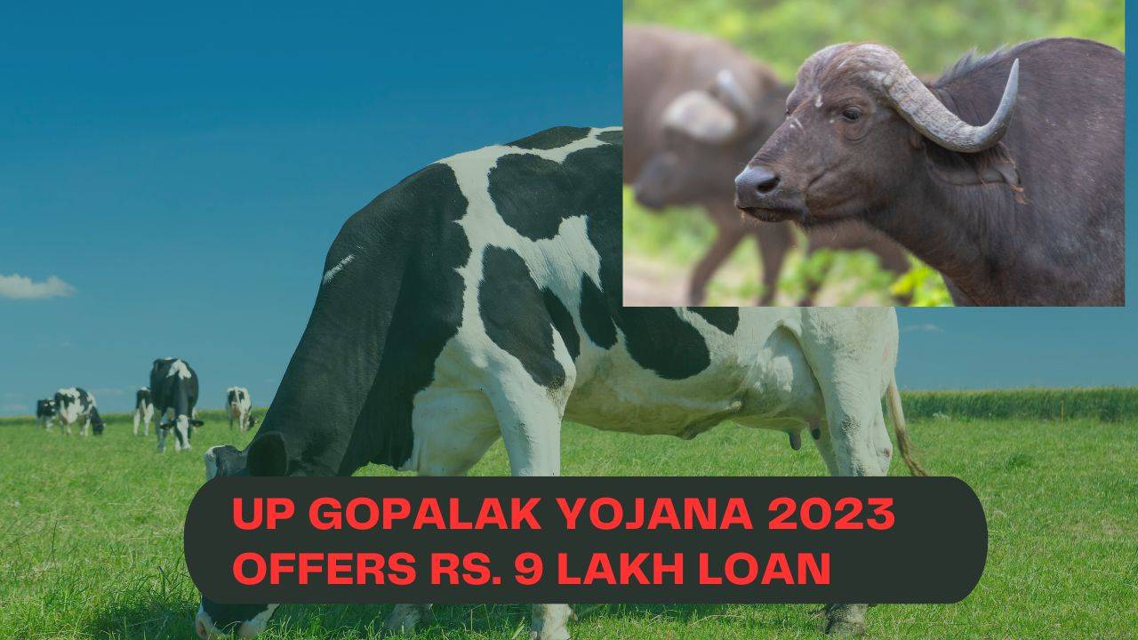 UP Gopalak Yojana 2023 (Photo: Krishi Jagran)