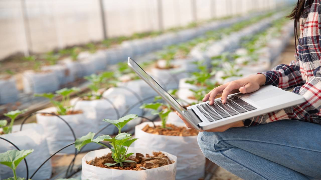 Using data science in agriculture can lead to higher crop yields (Image courtesy: Freepik)