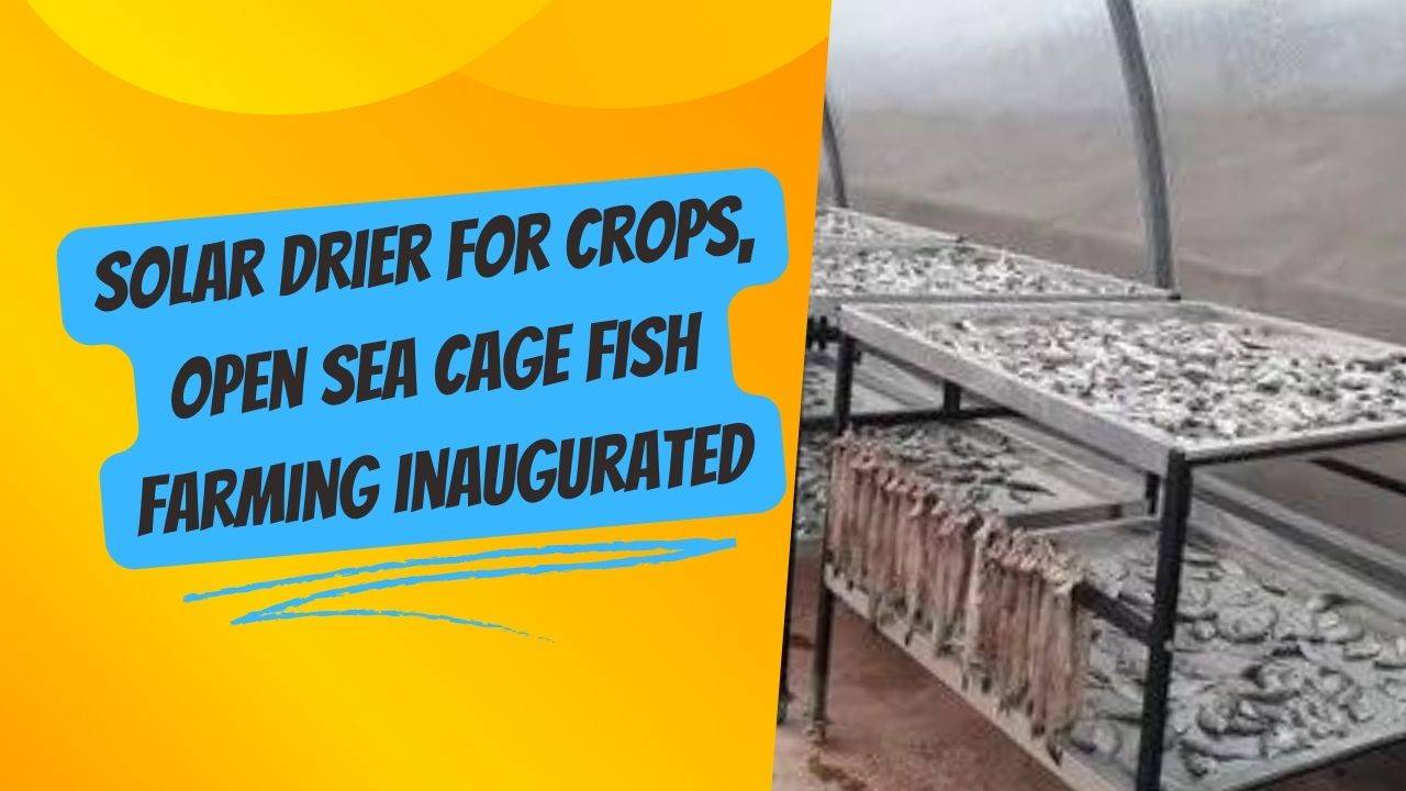 NABARD Chief General Manager R Shankar Narayanan inaugurated a solar dryer for rain-affected farmers in Sannur and launched open sea cage fish farming with CMFRI.  (Image Courtesy – Canva)