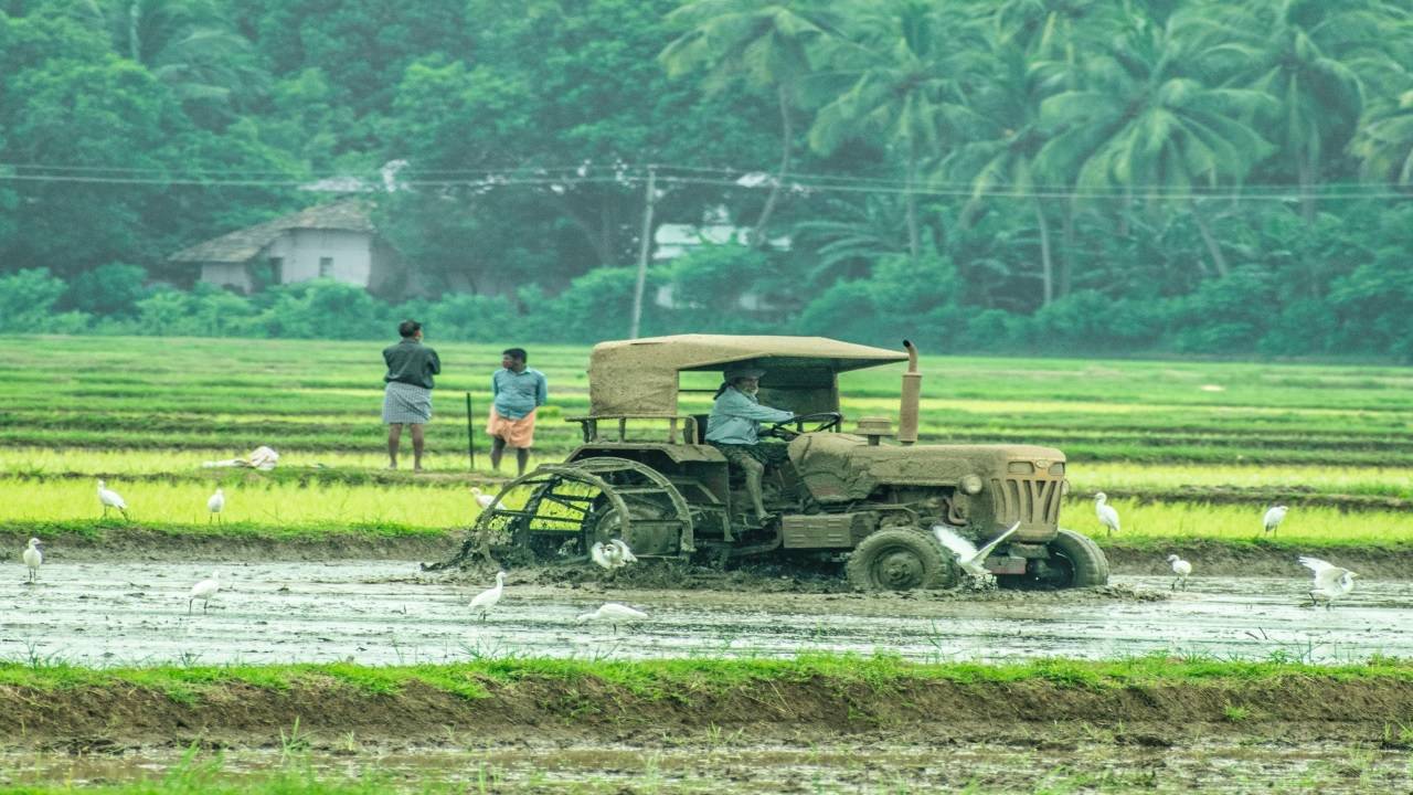 Farmers are also suffering due to lack of irrigation facilities.  (Photo courtesy of Unsplash)