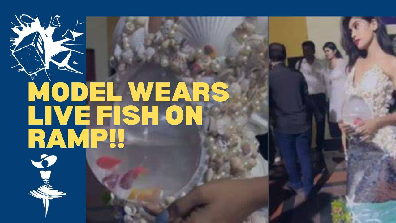Glimpse from a viral video shows live fish being poured into the inbuilt aquarium of a dress. (Image Courtesy- Instagram/ohsopretty_makeover)