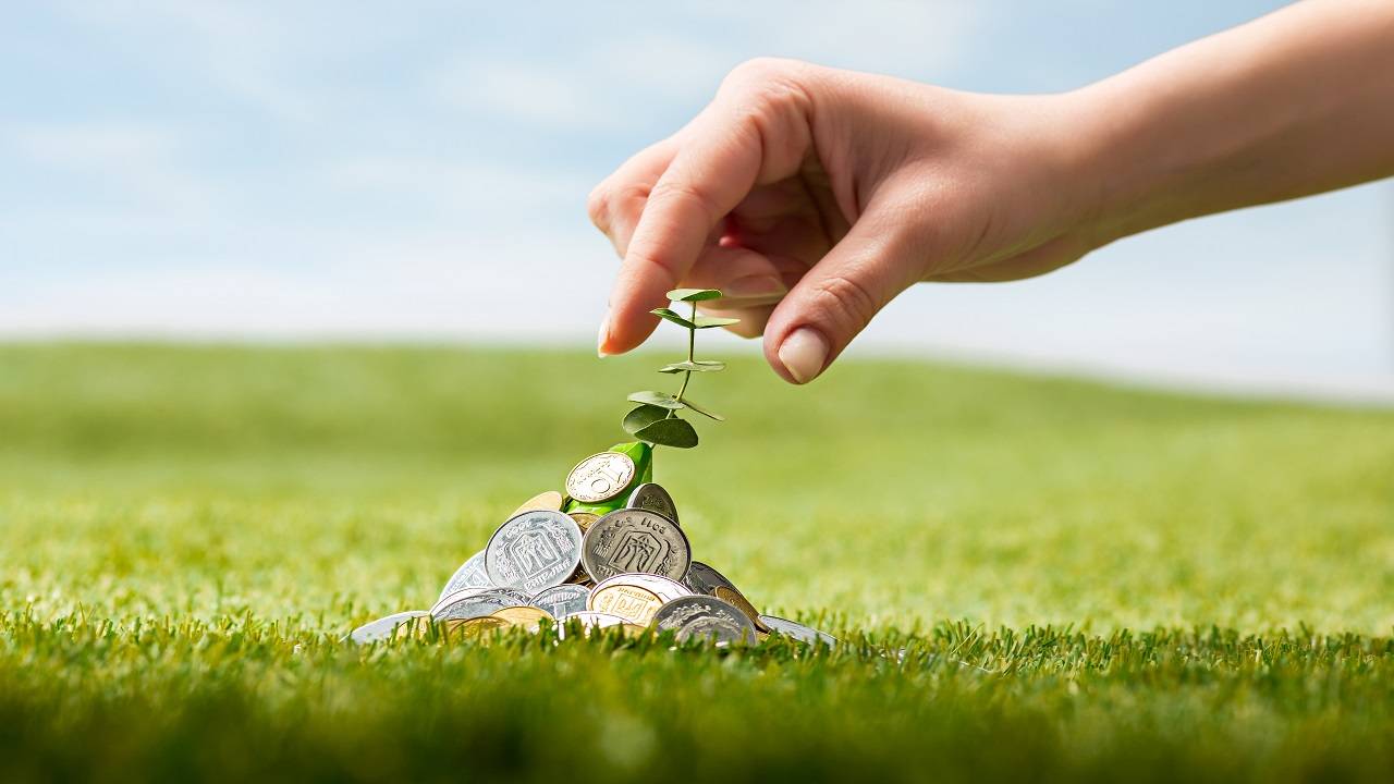 Govt Launches Green Credit Program Under LiFE To Promote Eco-Friendly Actions (Photo Courtesy: Freepik)