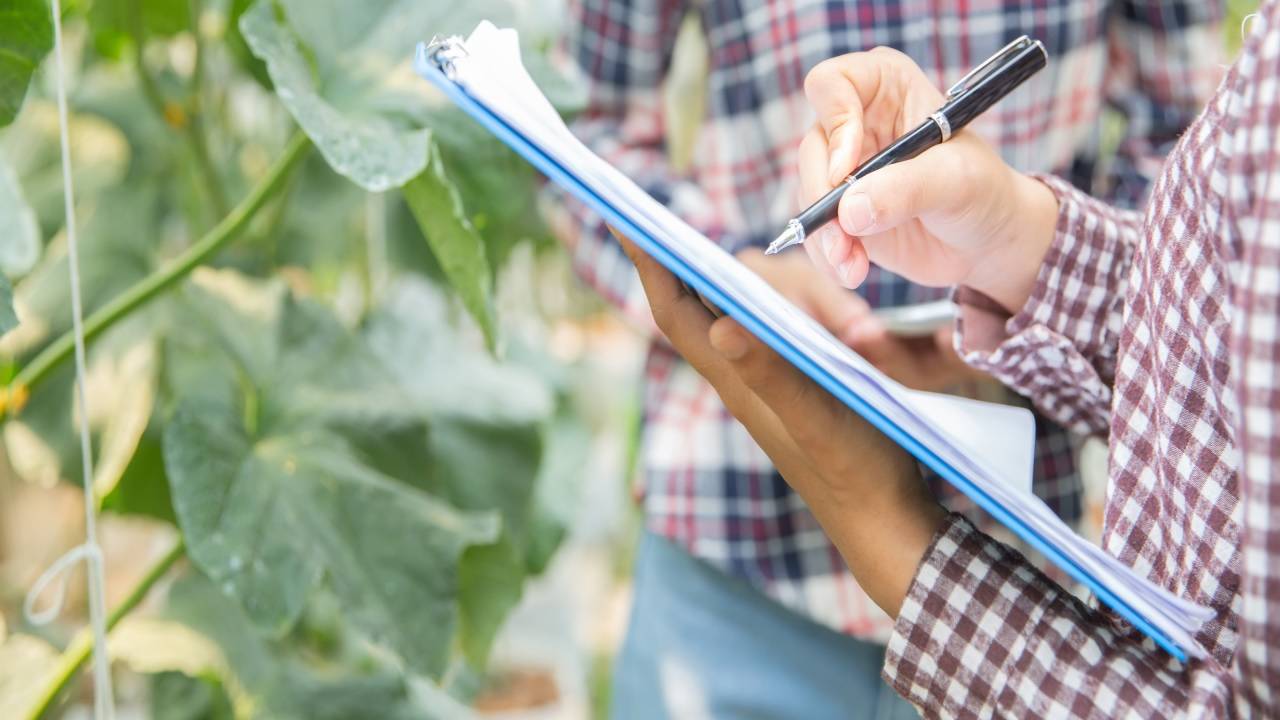 Digital Crop Survey to Begin in July 2024 as Centre Instructs States