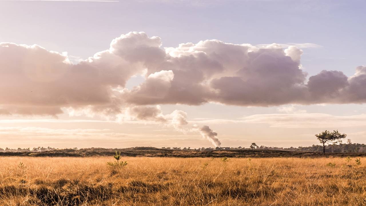 The last time Delhi experienced such poor air quality was in May, with an AQI of 336. (Image Courtesy- Unsplash)