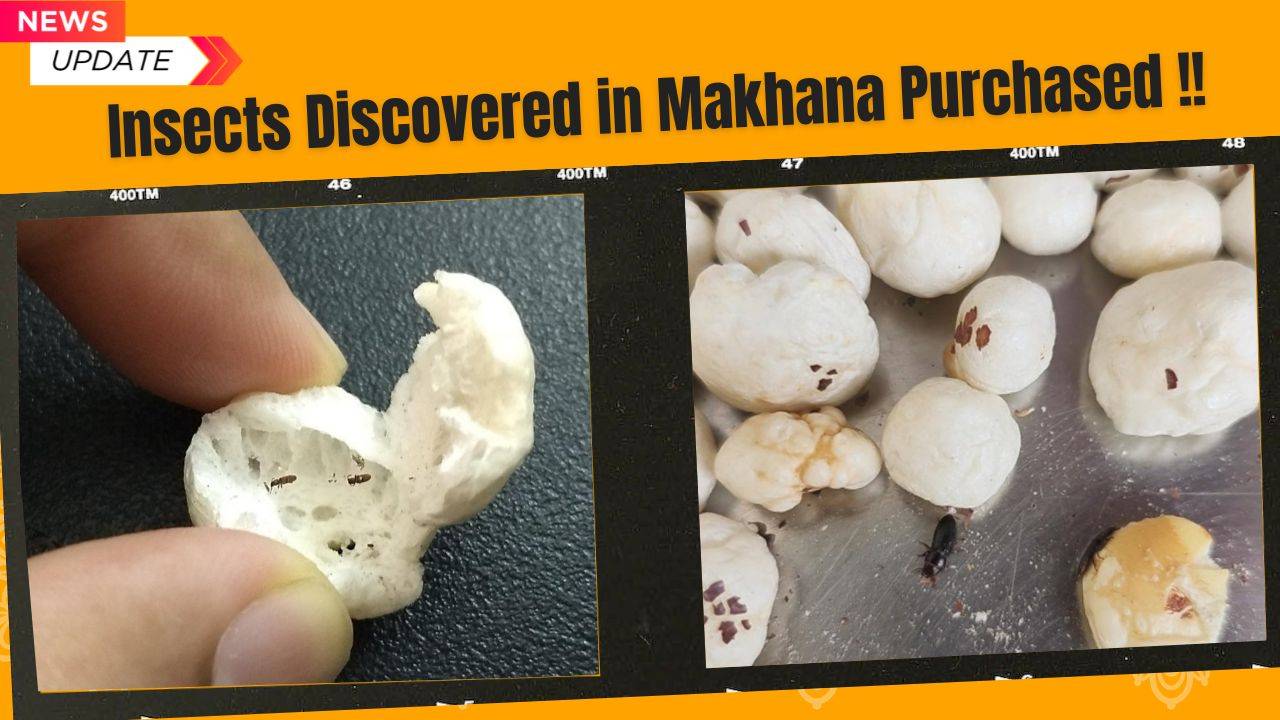 A man took to X to share that he found tiny insects crawling inside a packet of makhana he ordered online. (Image Courtesy- Siddharth Shah/Twitter)