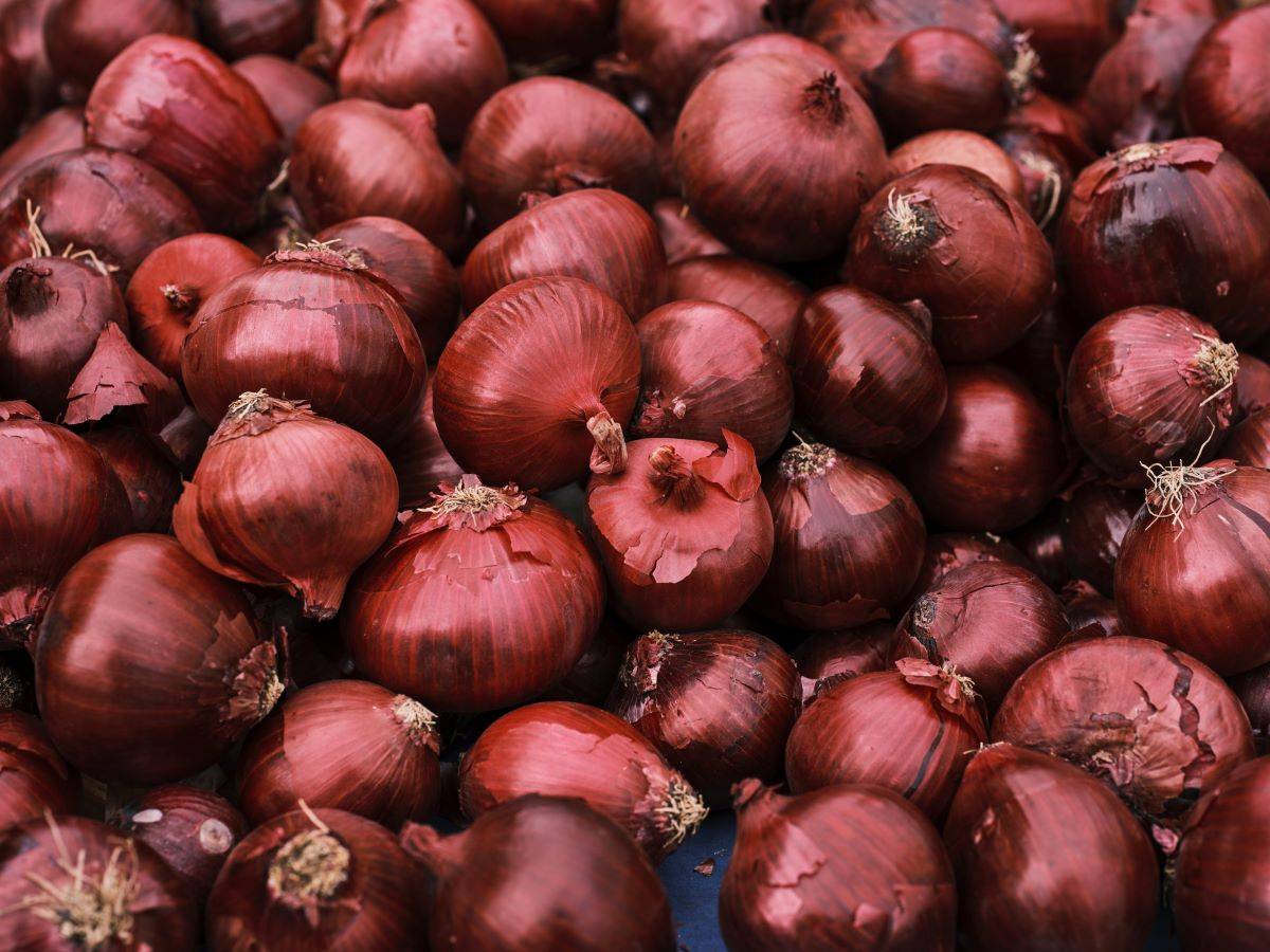 Govt Announces Minimum Export Price for Onions to Ensure Domestic Affordability (Photo Source: Pexels)