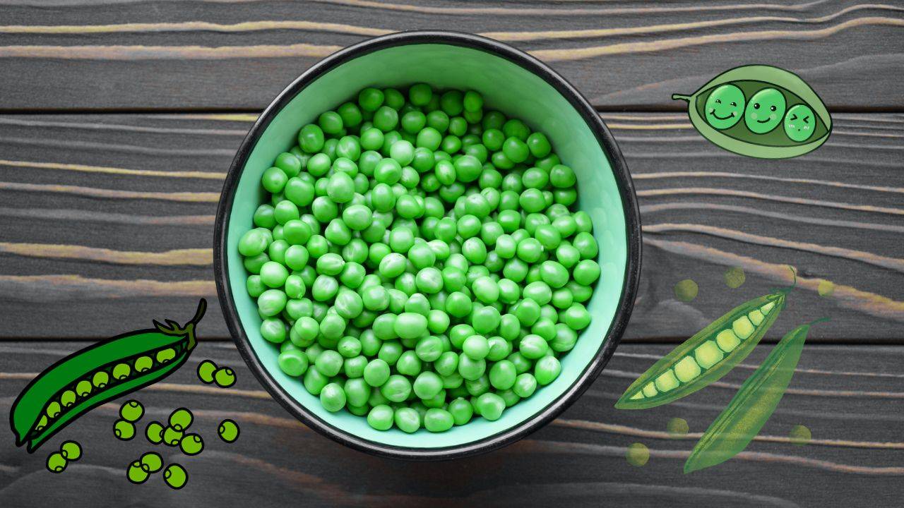 Green peas are a wonderful addition to your winter meals. (Image Courtesy- Unsplash)