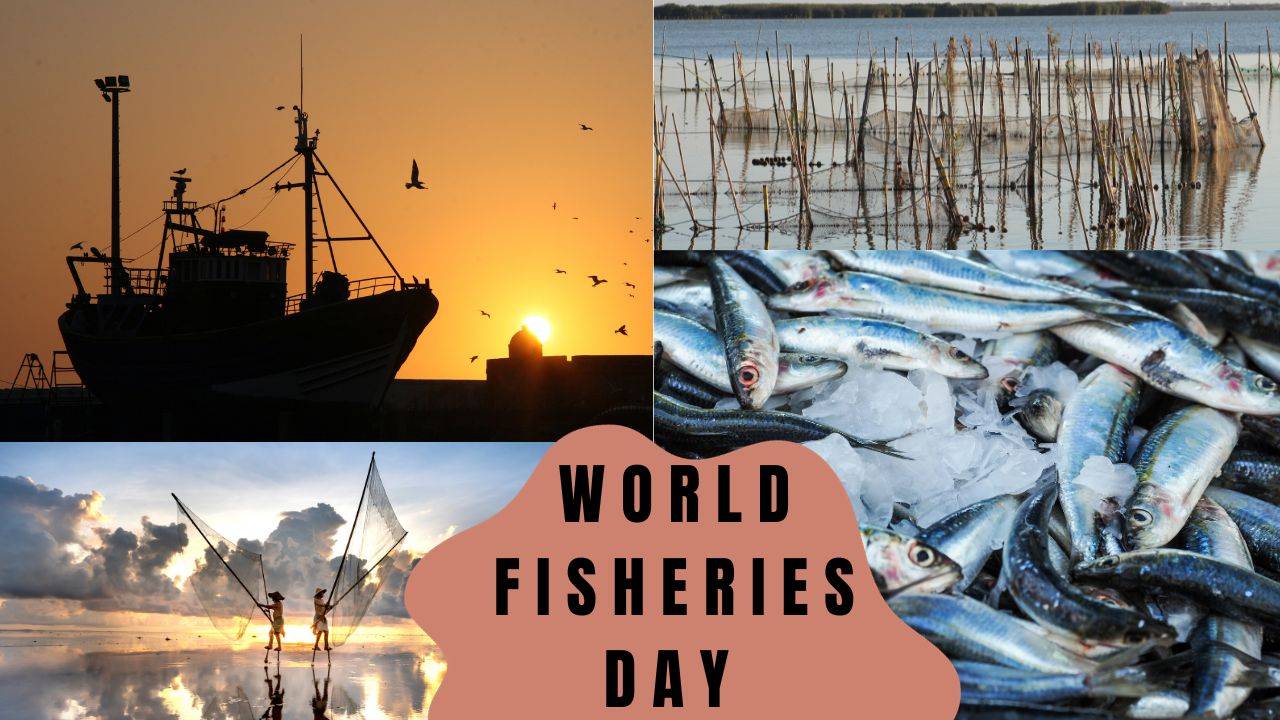 World Fisheries Day on November 21 highlights the significance of India's fisheries sector, a vital source of employment and food security. (Photo Courtesy- Canva)