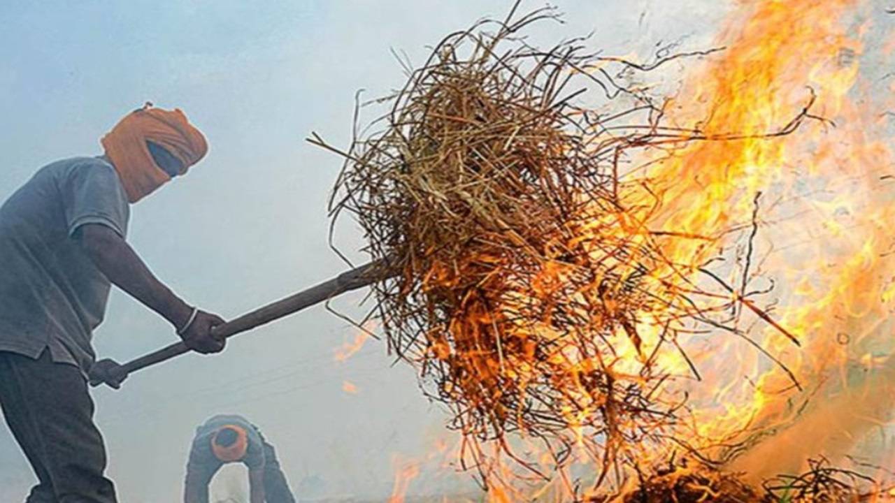 Stubble Burning in India. (Photo Courtesy: Punjab Police/Twitter)