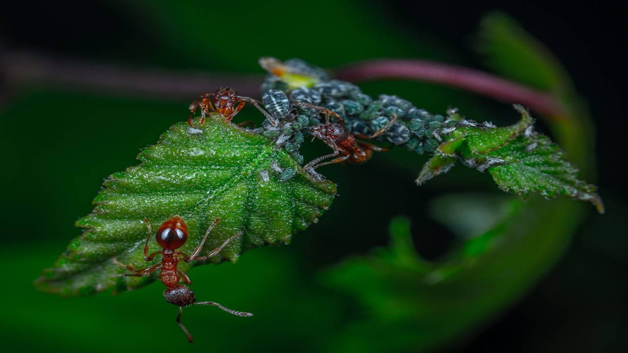 Representational image. (Photo Courtesy: Pexels)