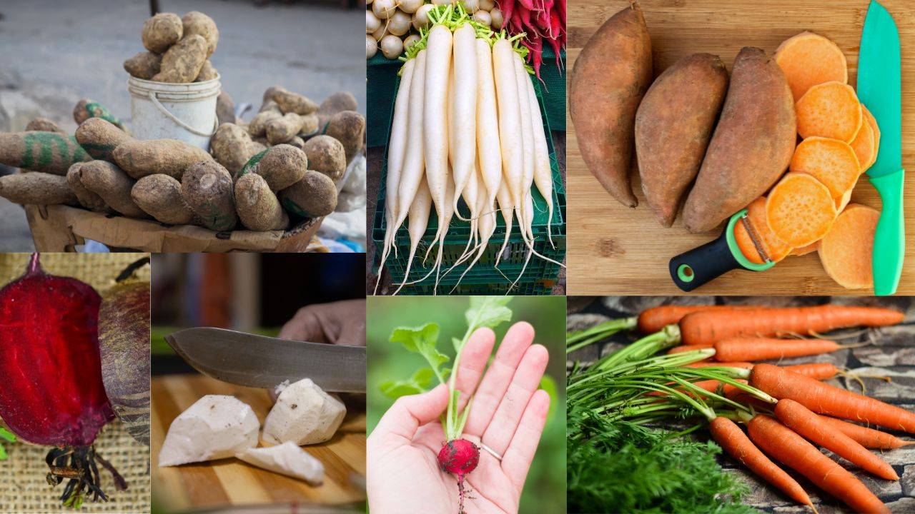 Incorporating root vegetables into your diet can be a flavourful and nutritious way to support your weight loss goals. (Photo: Canva)