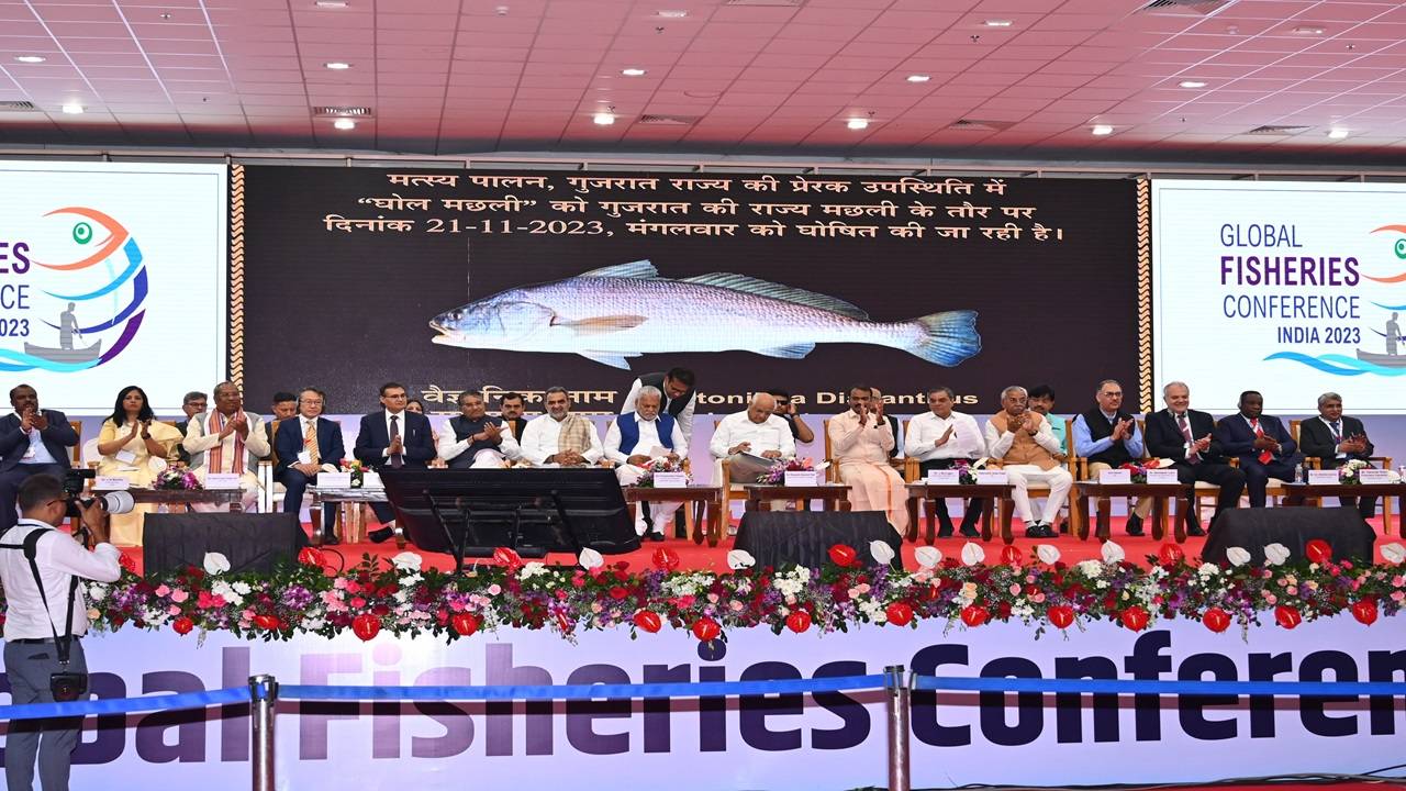 This move by Gujarat not only recognizes the importance of the Ghol fish but also aligns with broader state-level initiatives in the fisheries sector. (Photo: Twitter/GFCINDIA2023)