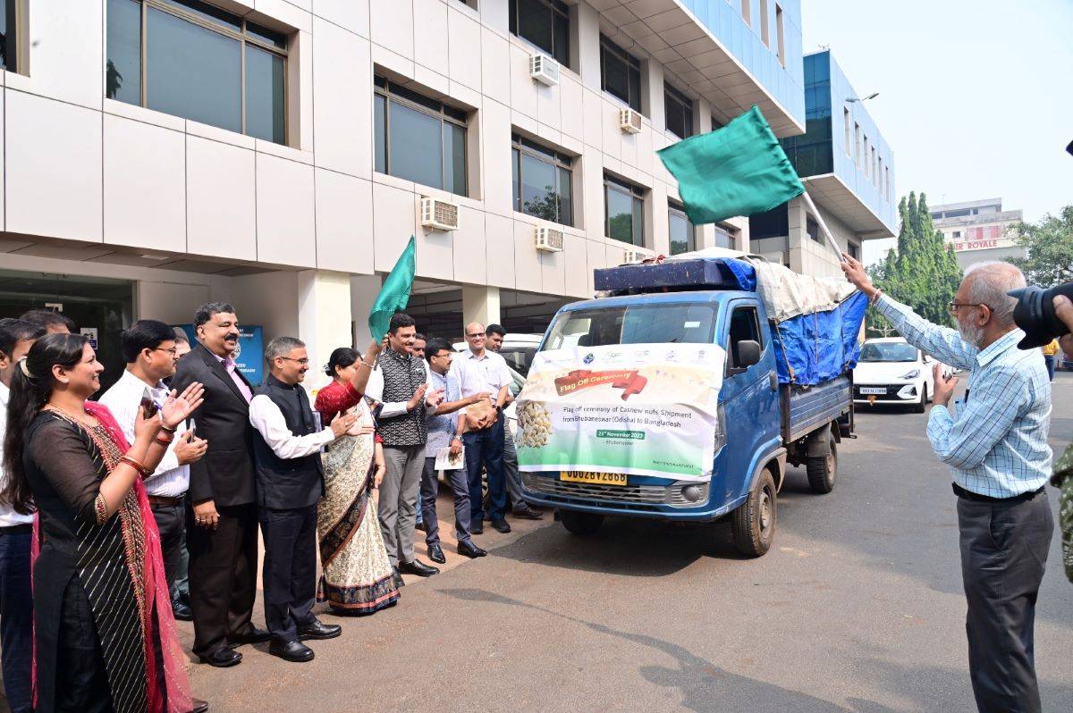 APEDA Facilitates Global Cashew Export on National Cashew Day to Bangladesh, Qatar, Malaysia & USA (Photo Source: @APEDADOC)