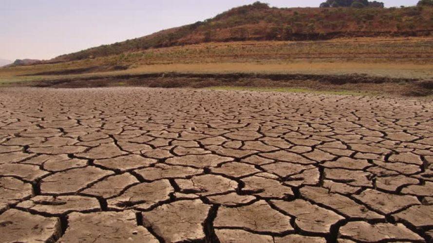 Vulnerability Assessment Reveals Climate Threat to Agriculture in 310 Districts Across India (Photo Source: Pexels)