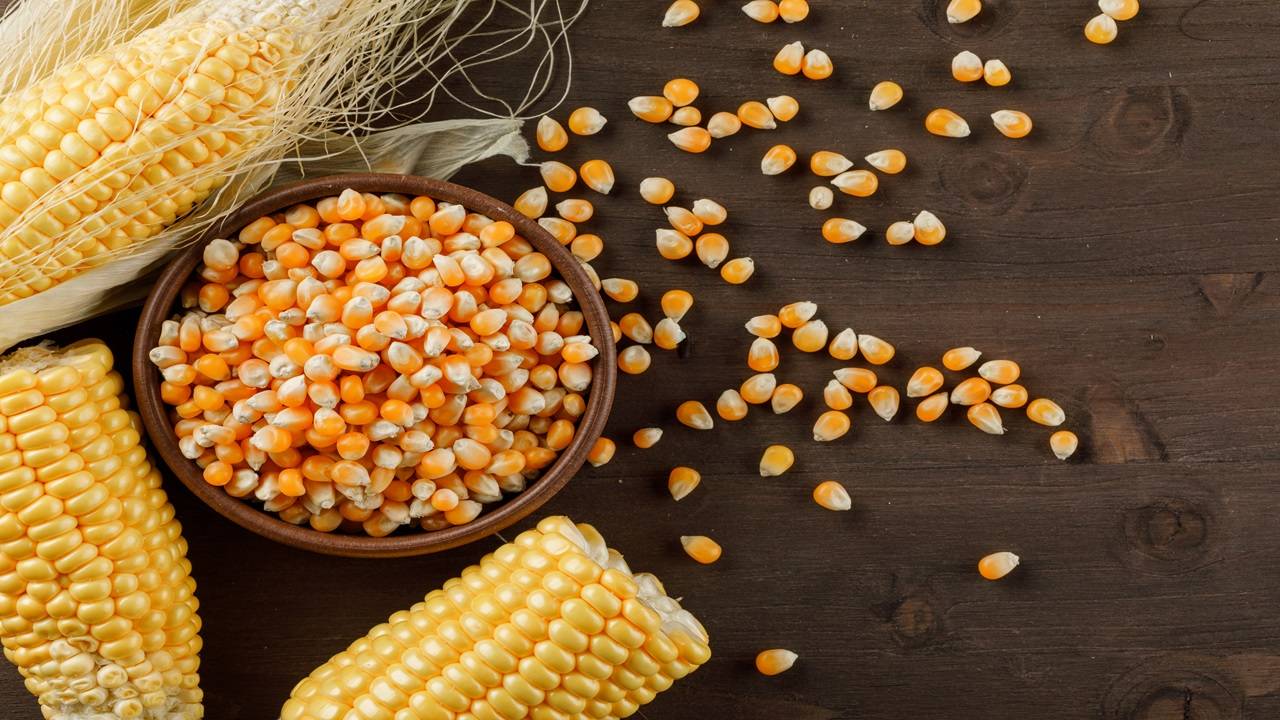 Maize, or corn, has emerged as a strategically important commercial crop in the country because of its use in making ethanol, which is blended with petrol. (Photo: Freepik)